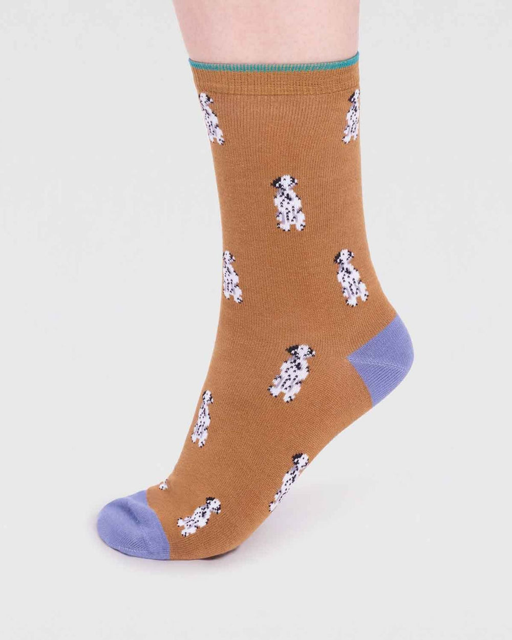 Dalmatian dog socks