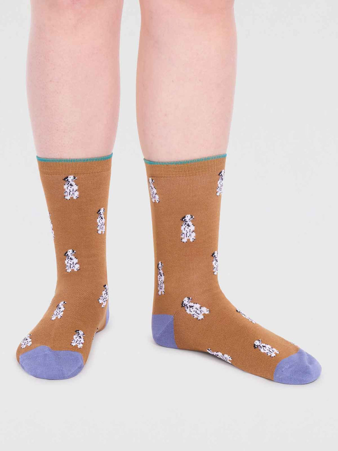 Socks for dog lovers We Are Thought