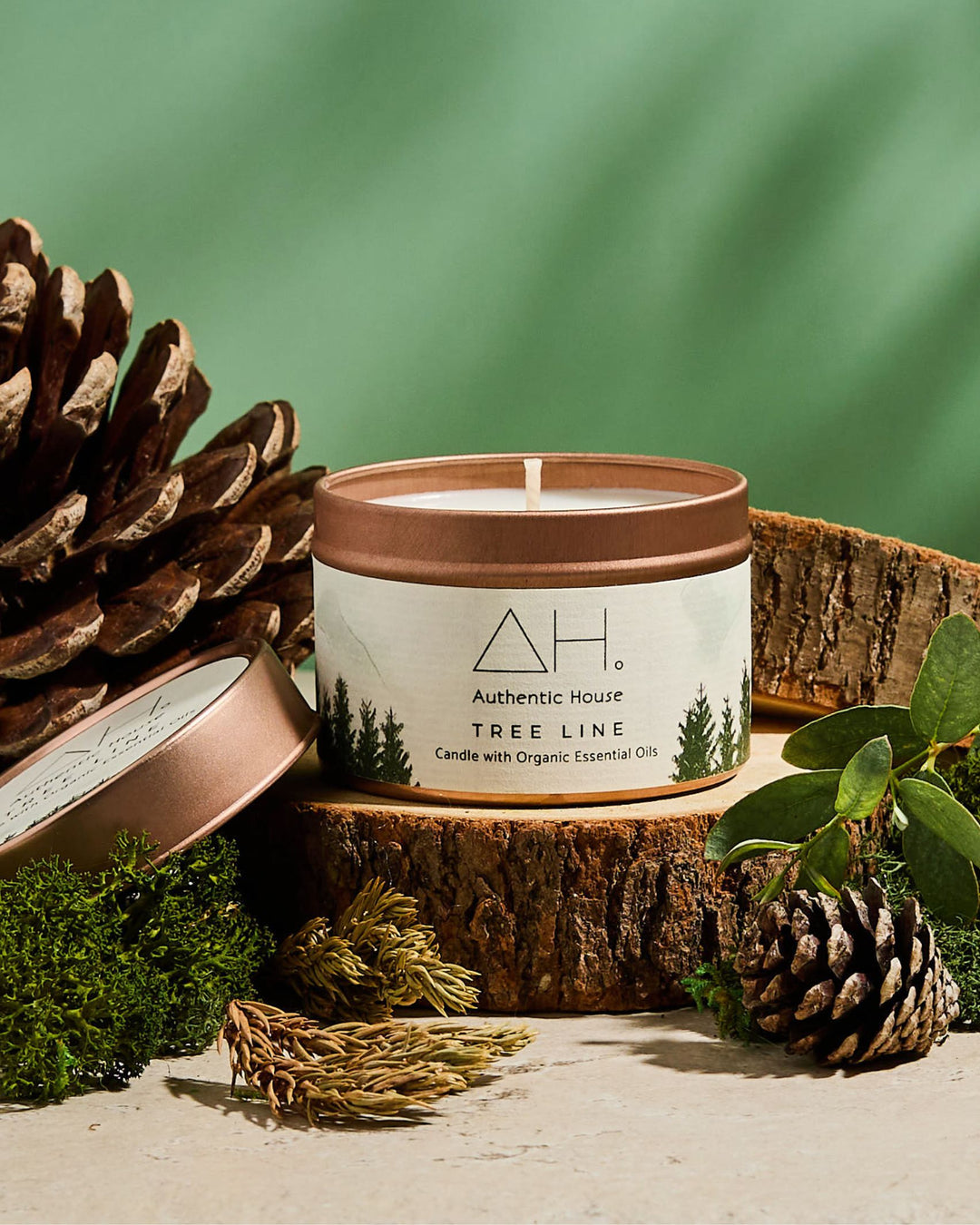 Pine tree scented candle Tree Line Authentic House